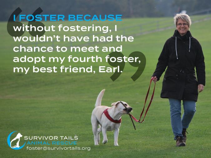 Foster_Fail_Quote