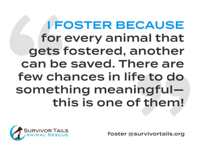 Foster_Save_A_Life